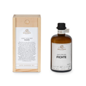 Geist von der Fichte